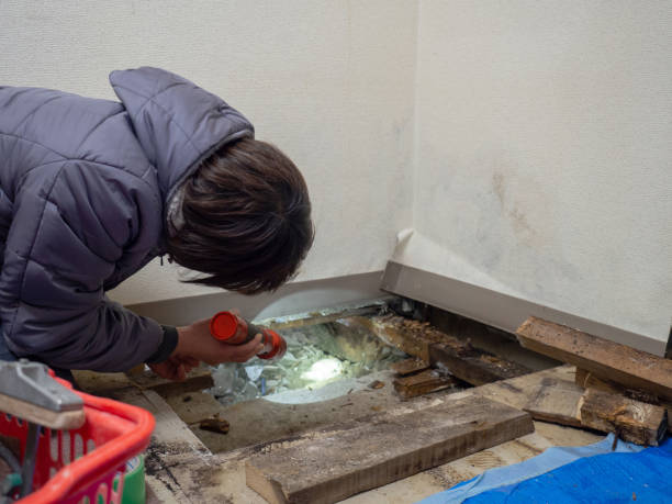 Forensic Mold Investigation in Chattanooga, TN