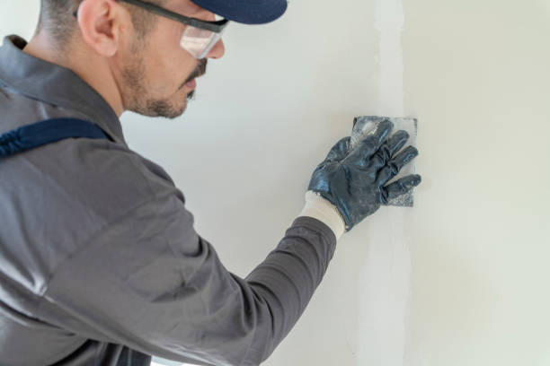 Best Real Estate Mold Inspection  in Chattanooga, TN