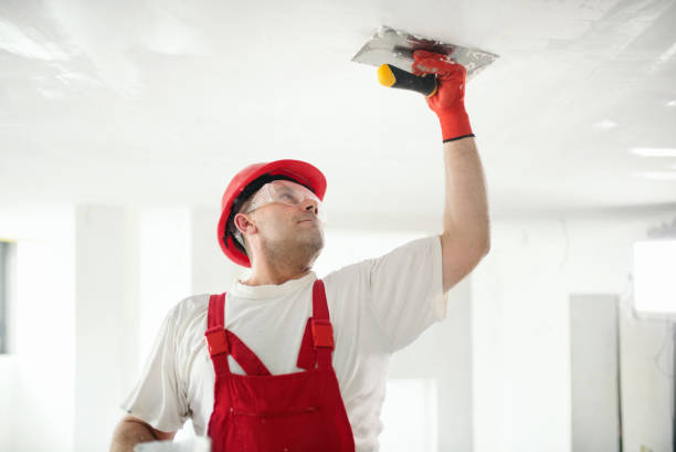 Mold Remediation for Vacation Homes in Chattanooga, TN
