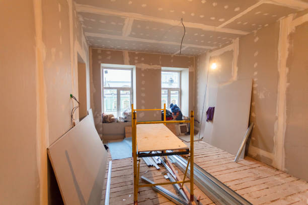 Professional Mold Removal in Chattanooga, TN